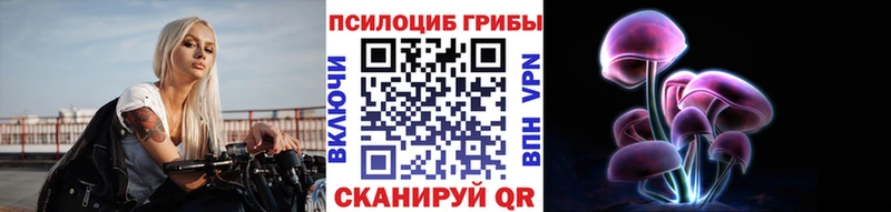 наркошоп  hydra ссылка  Псилоцибиновые грибы GOLDEN TEACHER  Терек 