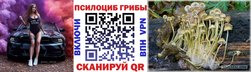 Галлюциногенные грибы GOLDEN TEACHER Терек